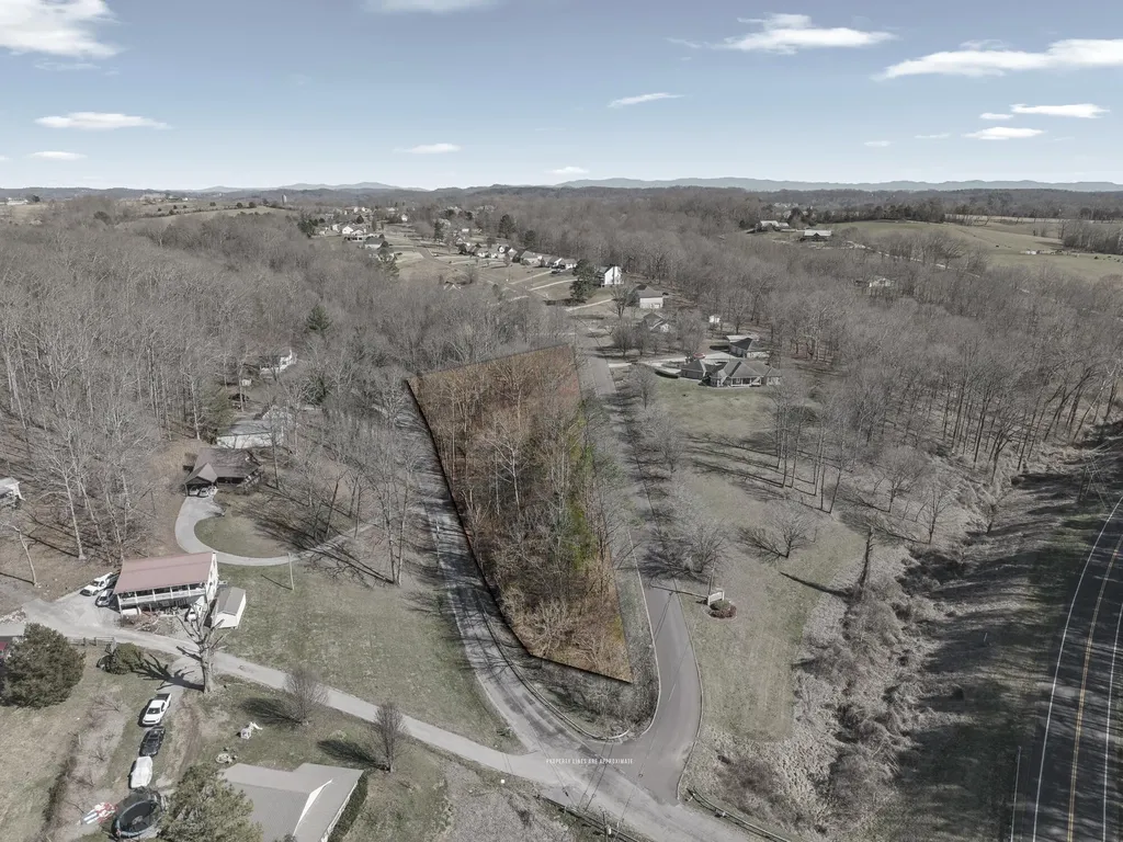 12 County Road 321 Niota TN 37826