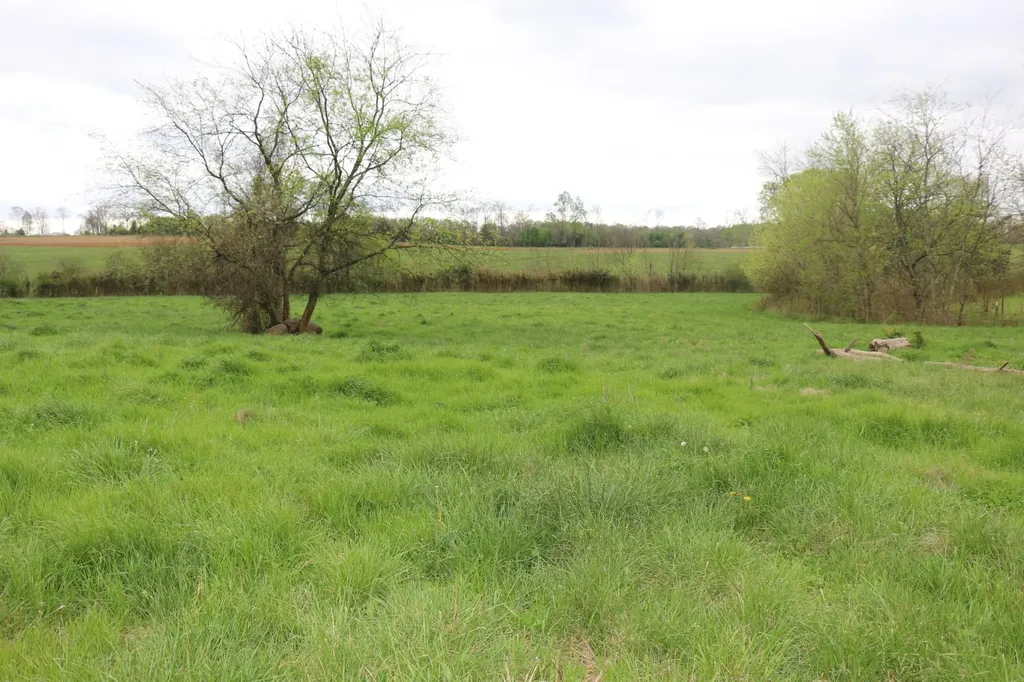 551 Campground Road Madisonville TN 37354
