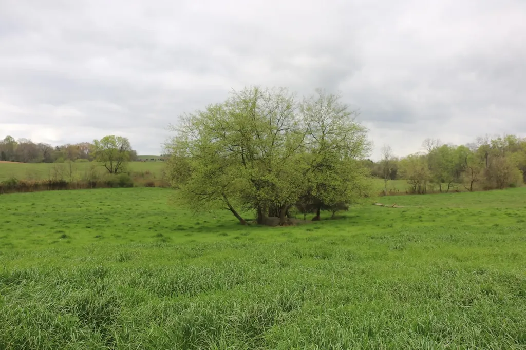 551 Campground Road Madisonville TN 37354