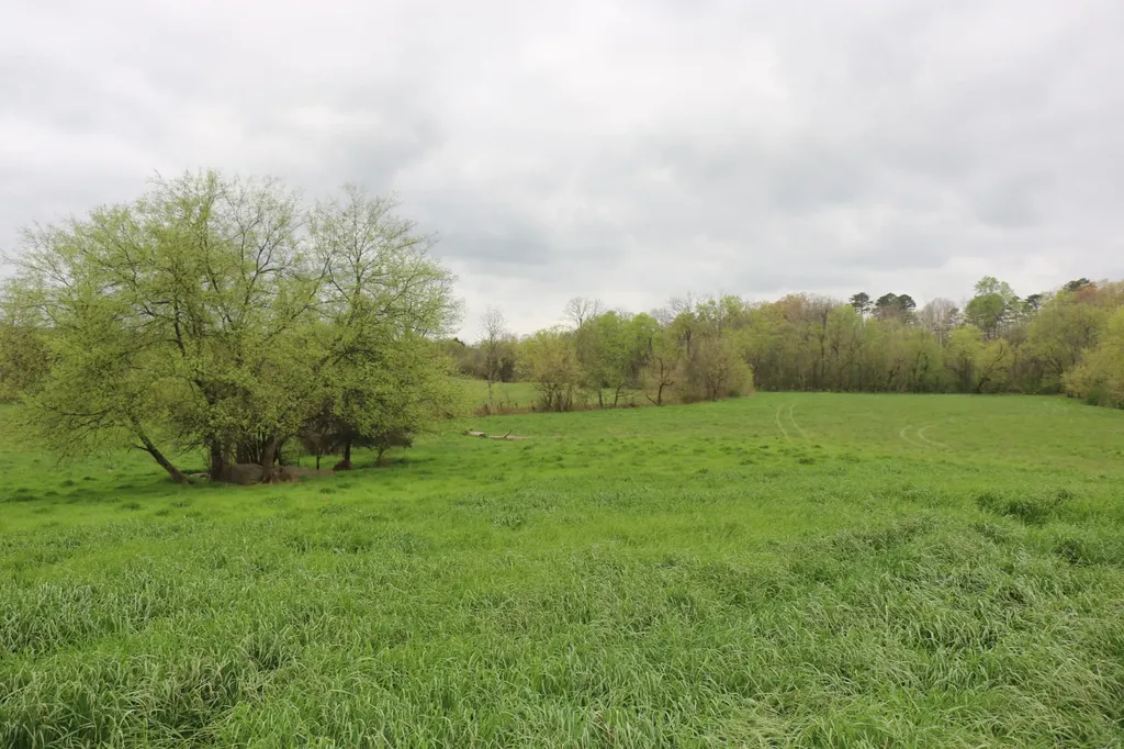 551 Campground Road Madisonville TN 37354