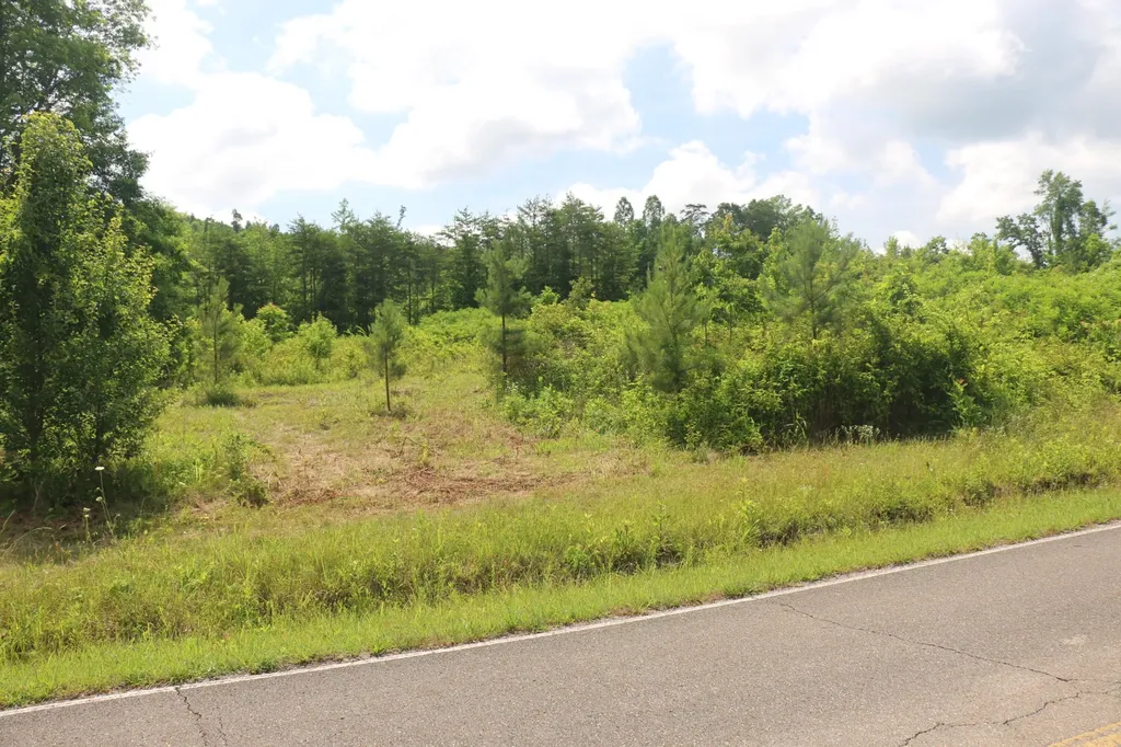 2 N Nopone Valley Road Decatur TN 37322
