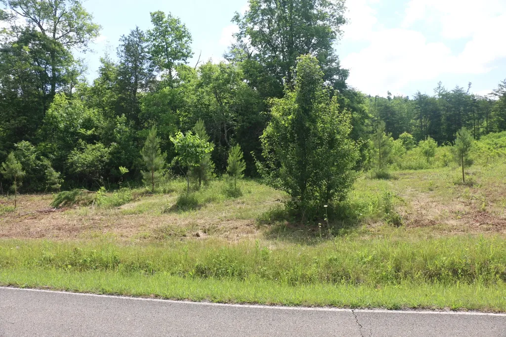 2 N Nopone Valley Road Decatur TN 37322