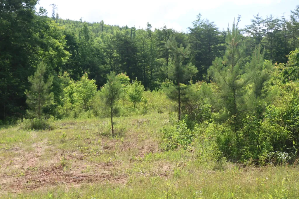 2 N Nopone Valley Road Decatur TN 37322