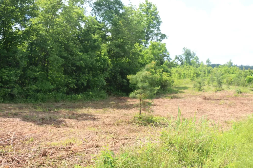 1 N Nopone Valley Road Decatur TN 37322