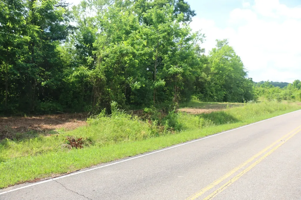 1 N Nopone Valley Road Decatur TN 37322