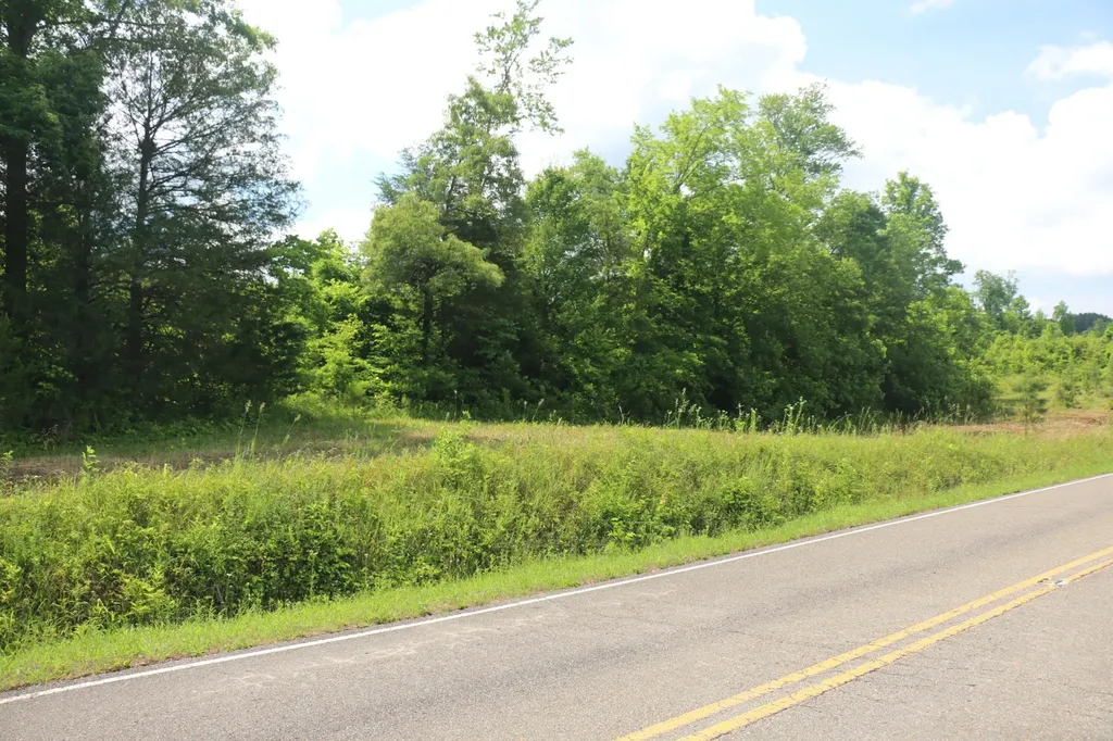 1 N Nopone Valley Road Decatur TN 37322