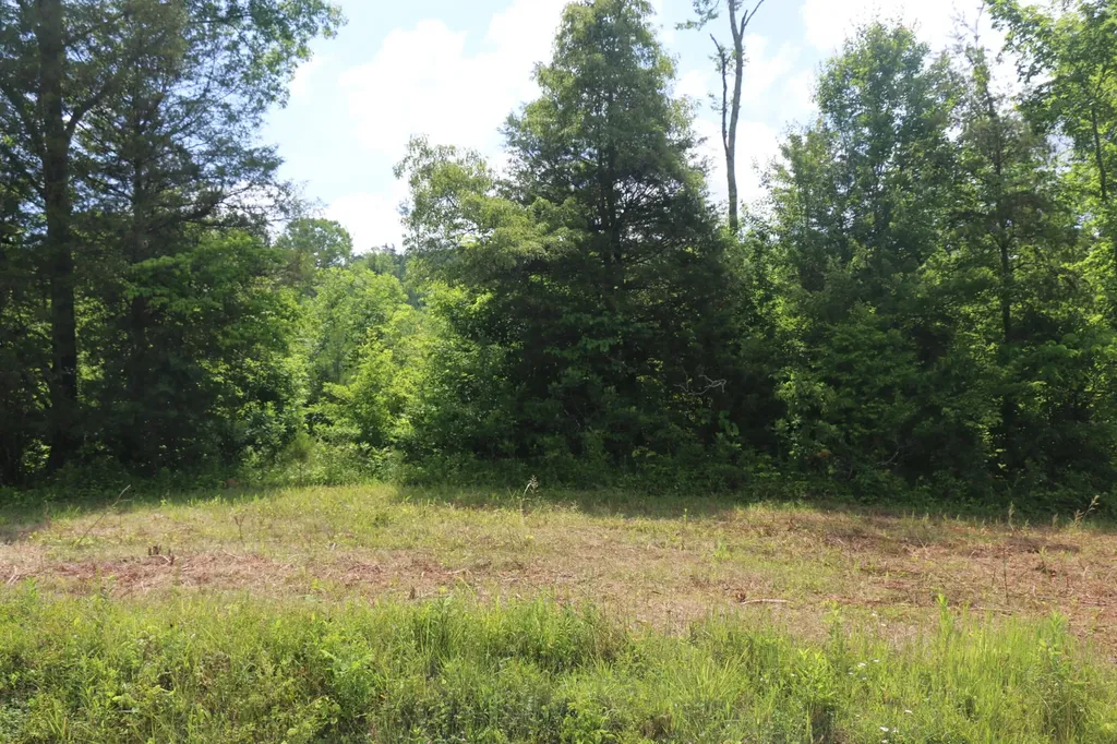 1 N Nopone Valley Road Decatur TN 37322