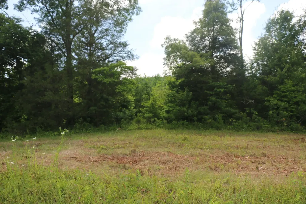 1 N Nopone Valley Road Decatur TN 37322