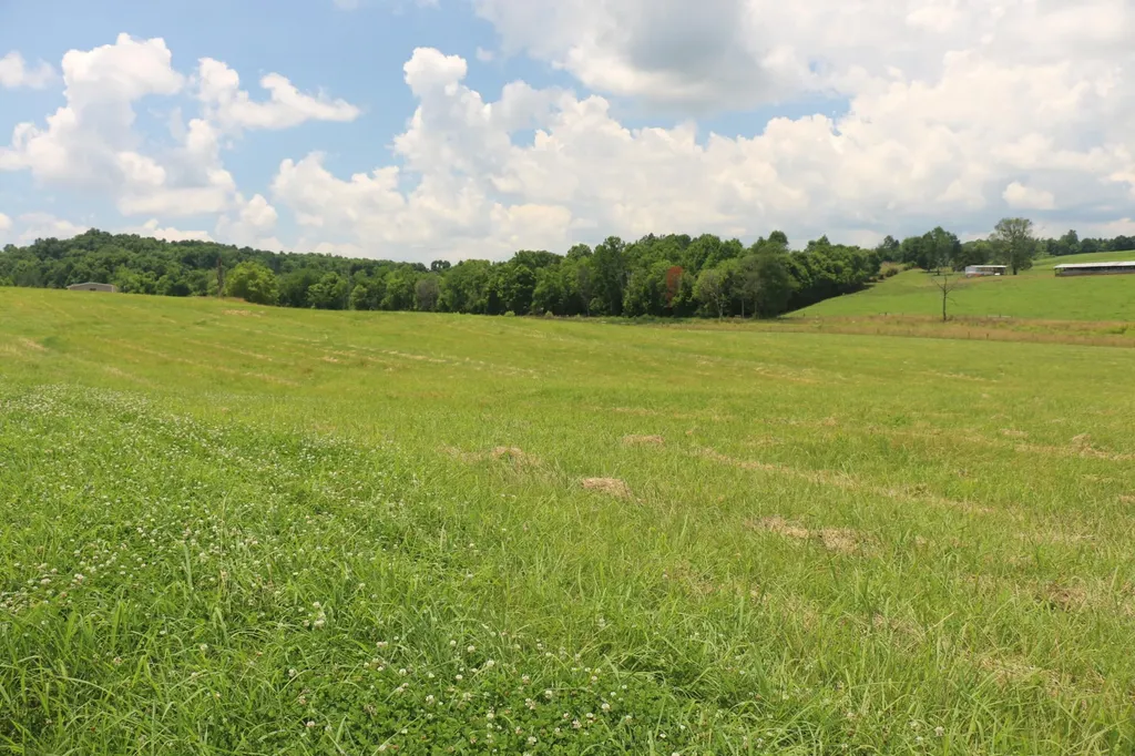 5 County Road 461 Englewood TN 37329