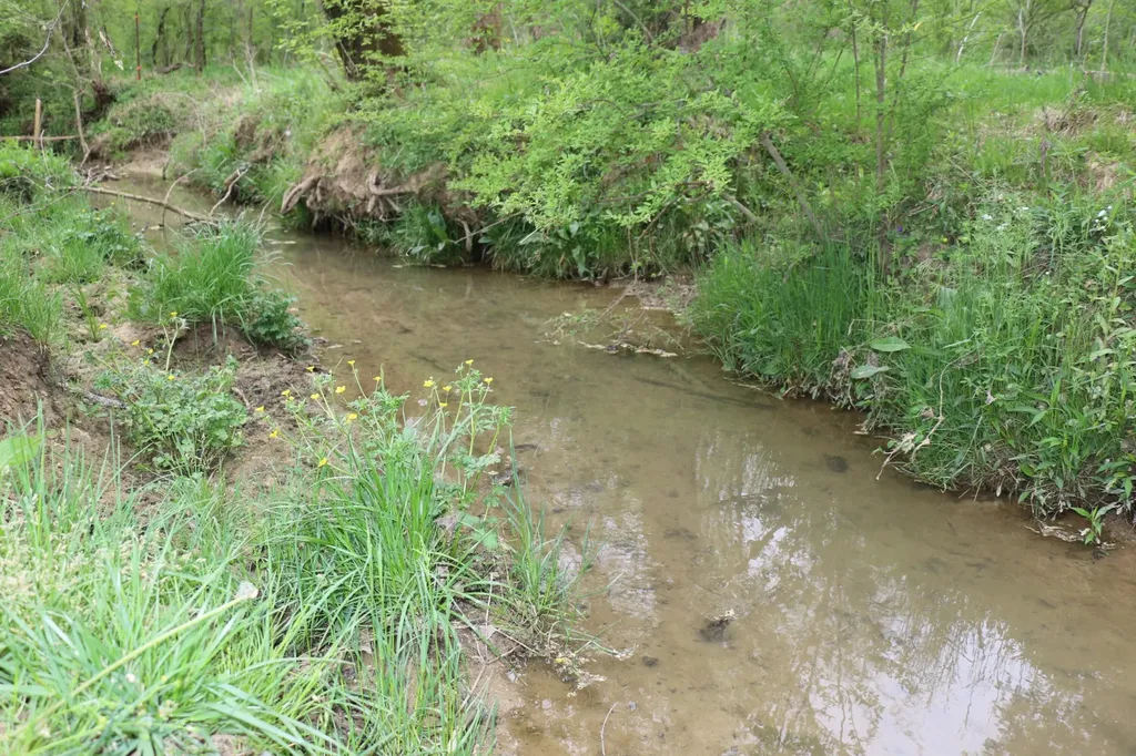 838 Campground Road Madisonville TN 37354
