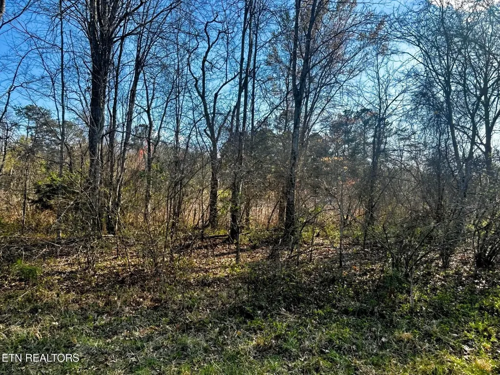 3 Lamontville Road Decatur TN 37322