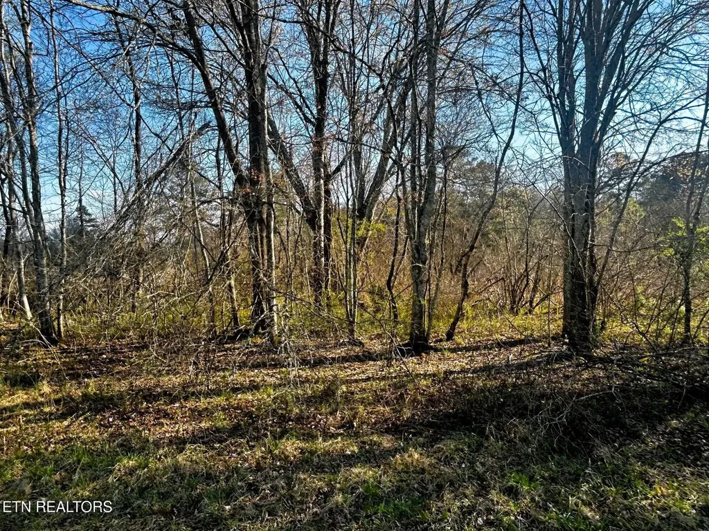 3 Lamontville Road Decatur TN 37322