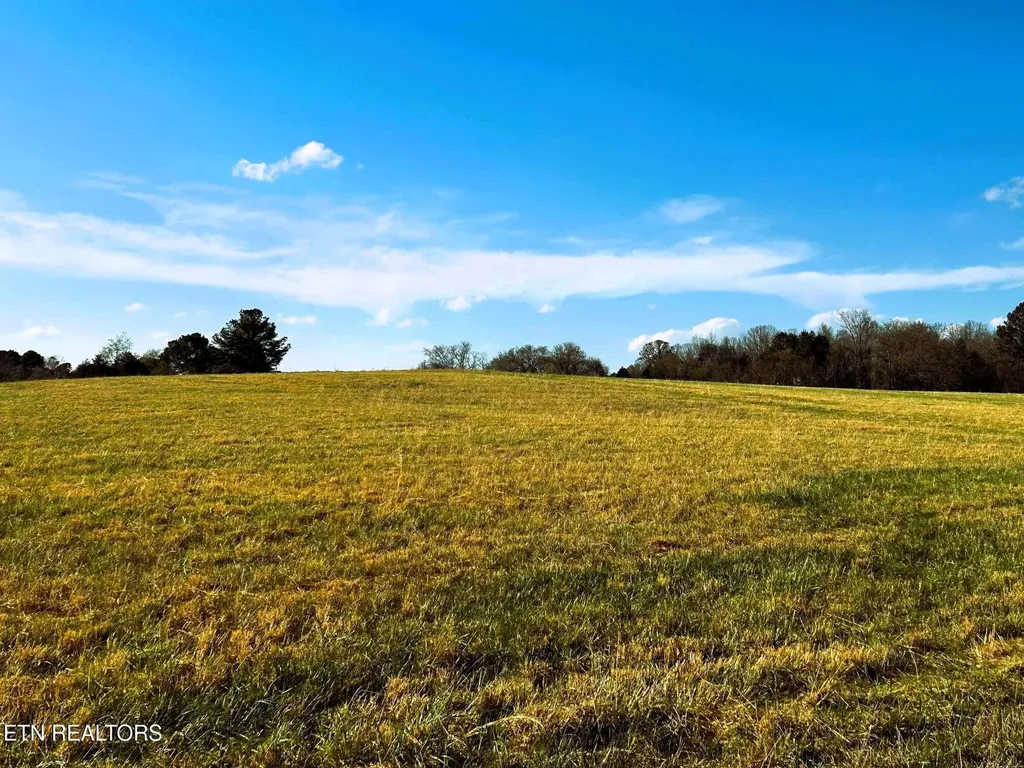 3 Lamontville Road Decatur TN 37322