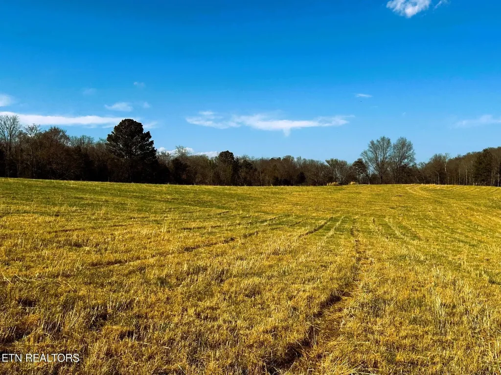 3 Lamontville Road Decatur TN 37322