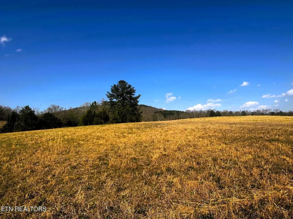 3 Lamontville Road Decatur TN 37322