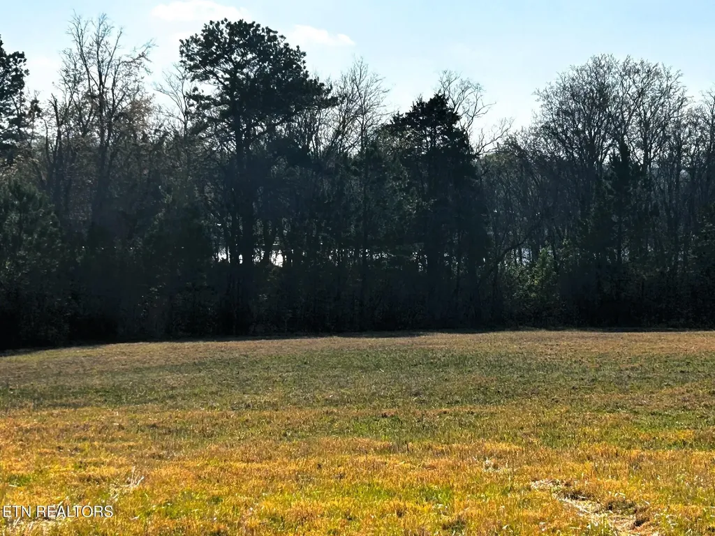 3 Lamontville Road Decatur TN 37322