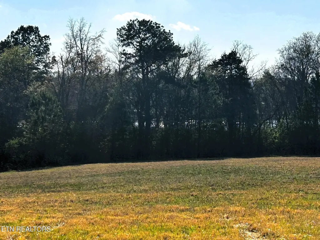 3 Lamontville Road Decatur TN 37322