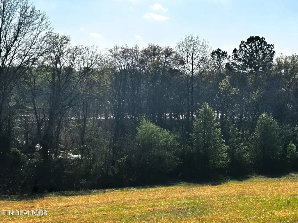 3 Lamontville Road Decatur TN 37322