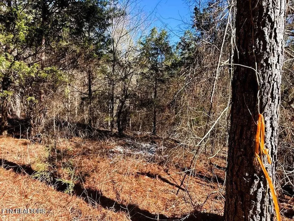 1553 Redman Ridge Lane Decatur TN 37322