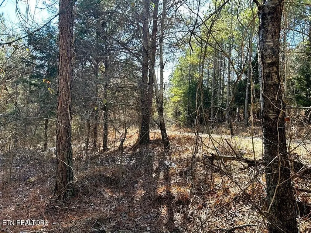 1553 Redman Ridge Lane Decatur TN 37322
