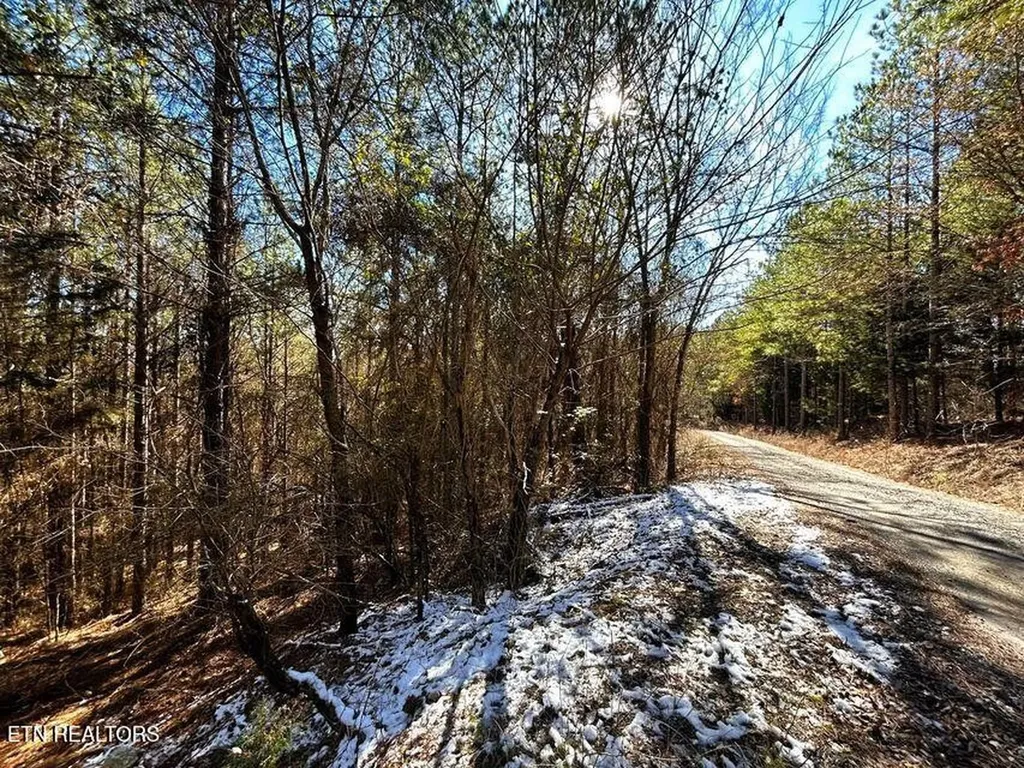 1553 Redman Ridge Lane Decatur TN 37322