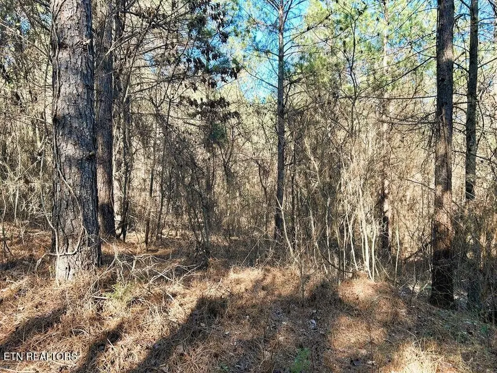 1553 Redman Ridge Lane Decatur TN 37322