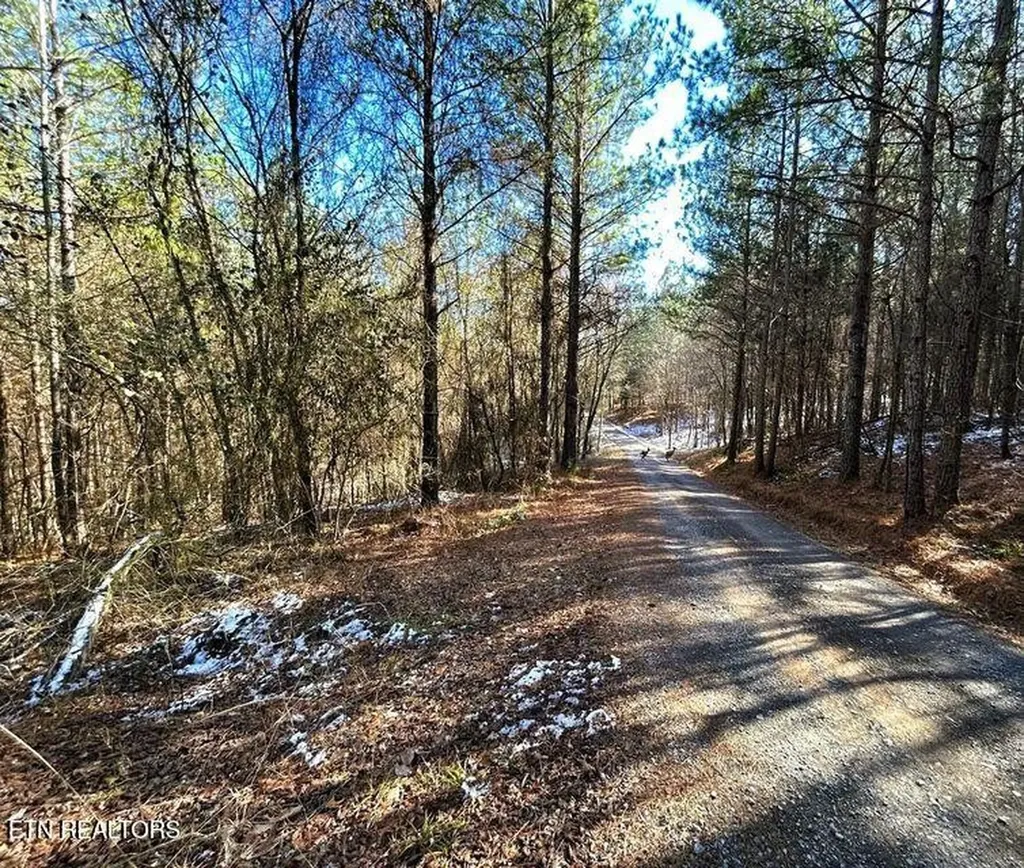 1553 Redman Ridge Lane Decatur TN 37322