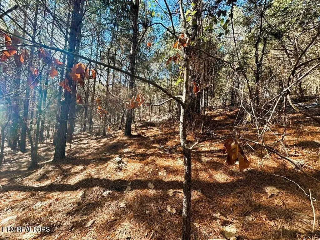 1553 Redman Ridge Lane Decatur TN 37322