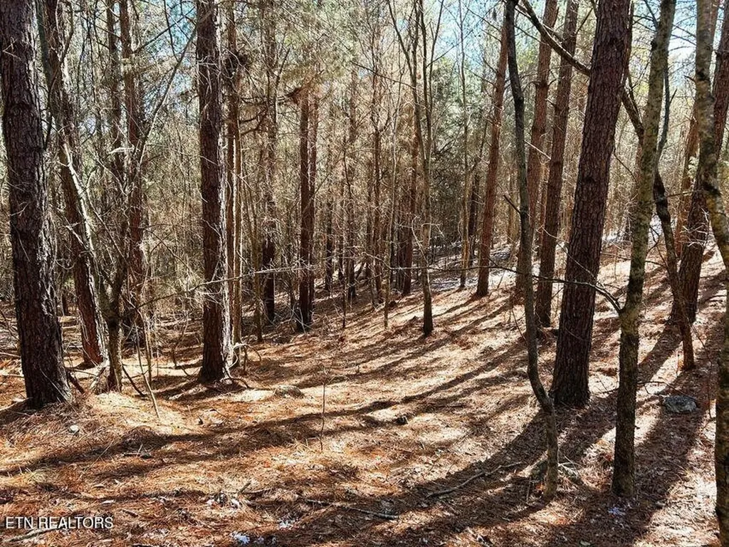 1553 Redman Ridge Lane Decatur TN 37322