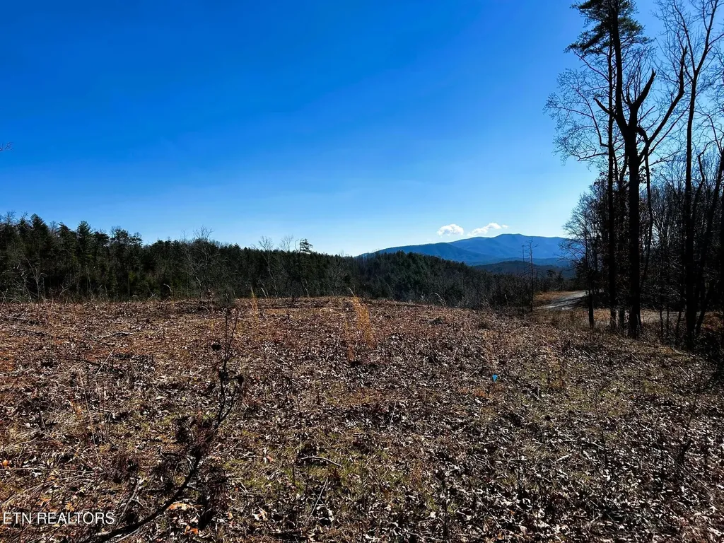 107125 Chestnut Mountain Road Reliance TN 37369