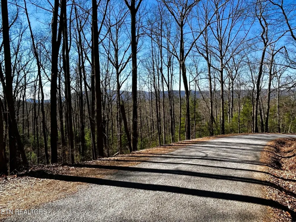 107125 Chestnut Mountain Road Reliance TN 37369