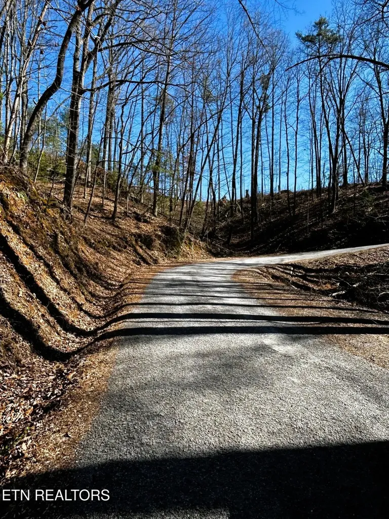 107125 Chestnut Mountain Road Reliance TN 37369