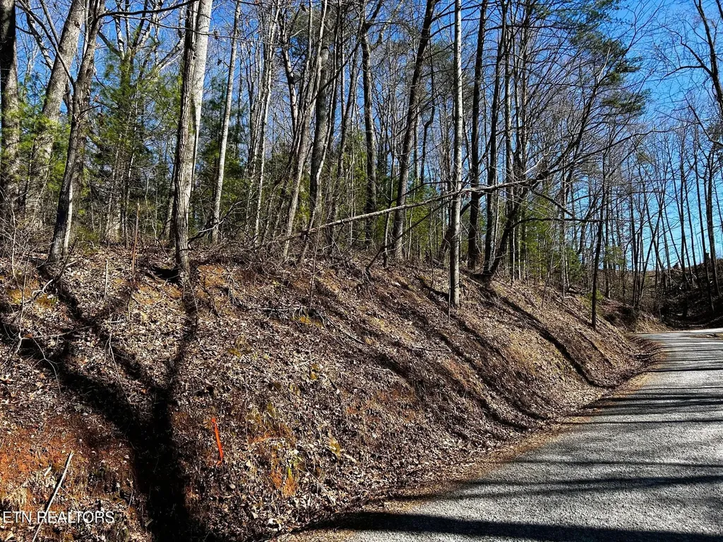 107125 Chestnut Mountain Road Reliance TN 37369