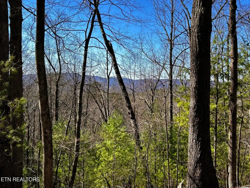 107125 Chestnut Mountain Road Reliance TN 37369
