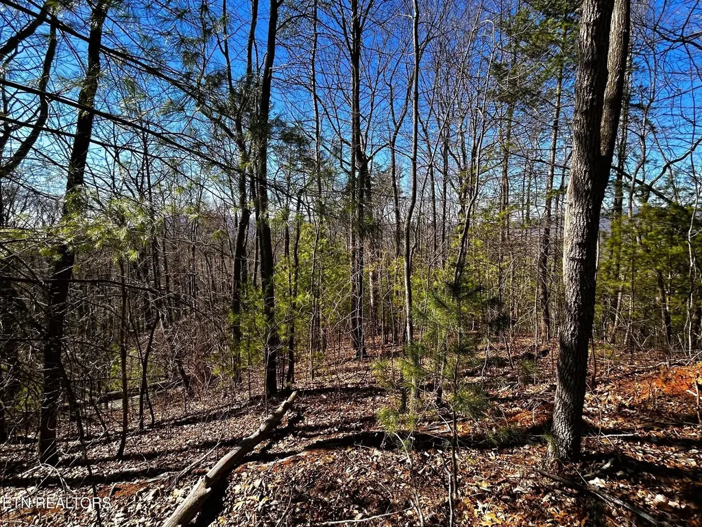 107125 Chestnut Mountain Road Reliance TN 37369