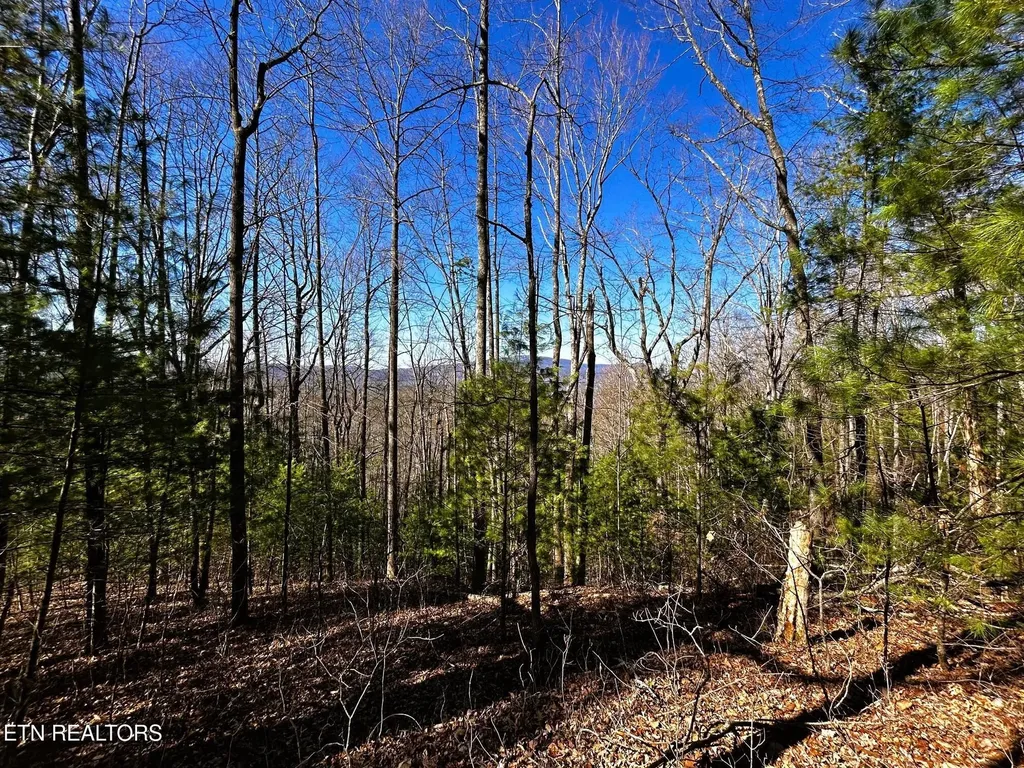 107125 Chestnut Mountain Road Reliance TN 37369