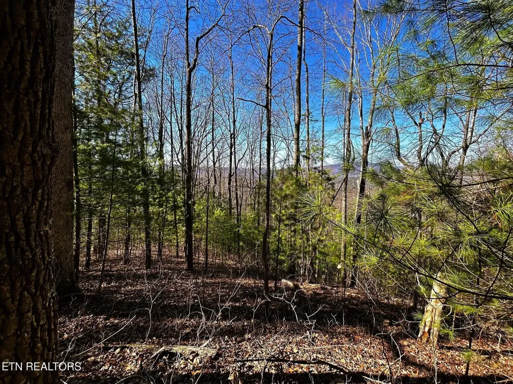 107125 Chestnut Mountain Road Reliance TN 37369
