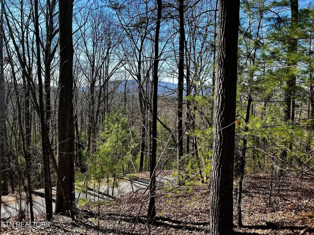 107125 Chestnut Mountain Road Reliance TN 37369