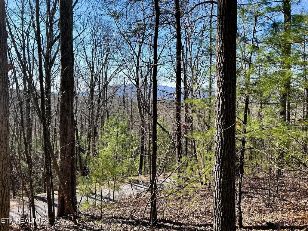 107125 Chestnut Mountain Road Reliance TN 37369