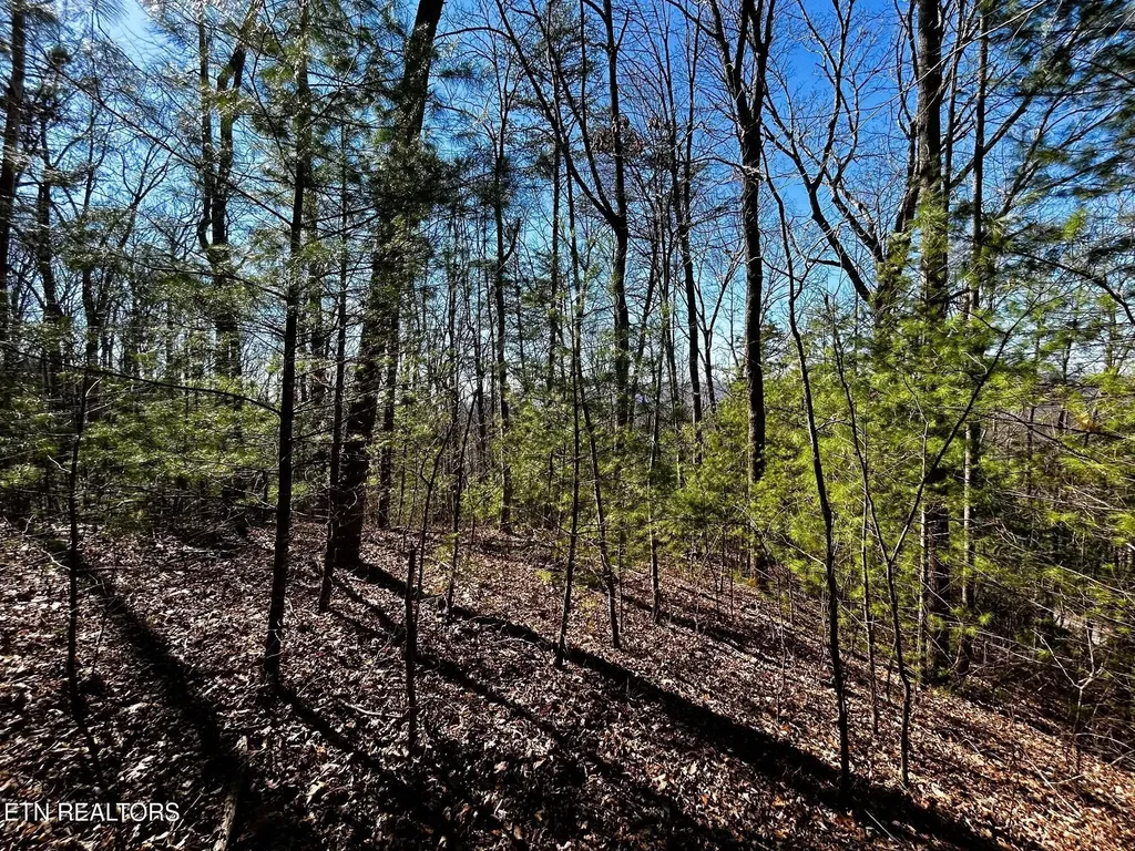 107125 Chestnut Mountain Road Reliance TN 37369