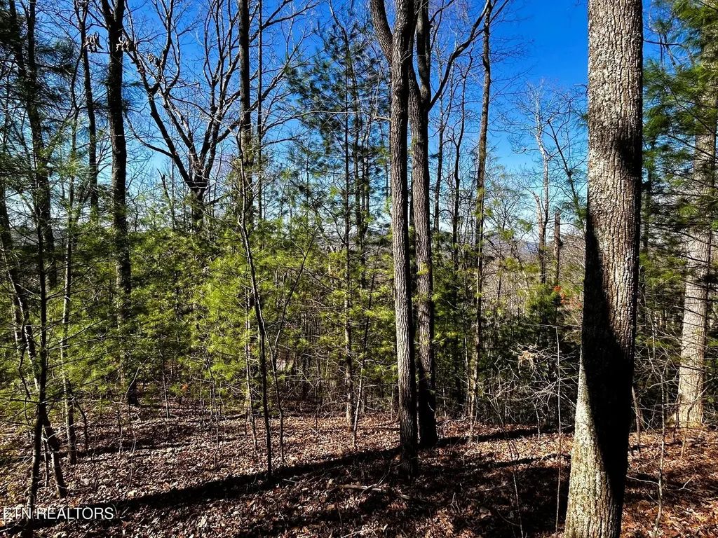 107125 Chestnut Mountain Road Reliance TN 37369