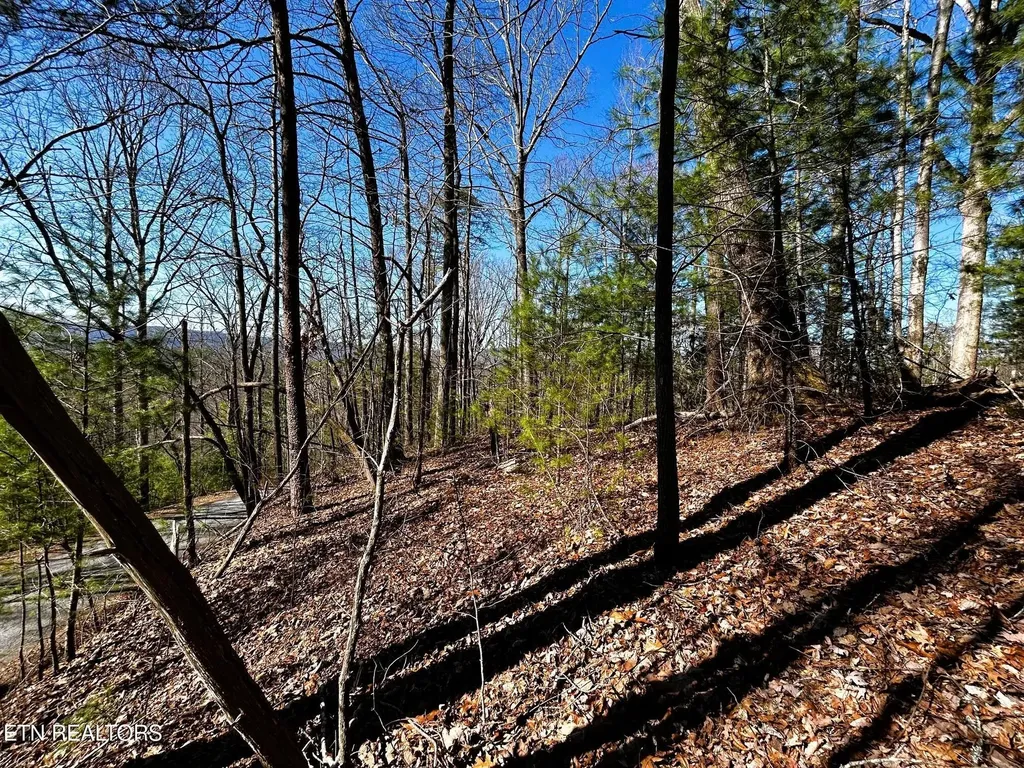 107125 Chestnut Mountain Road Reliance TN 37369