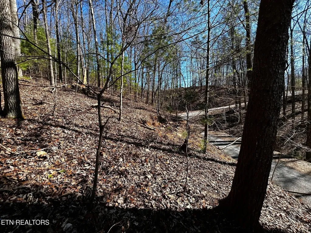107125 Chestnut Mountain Road Reliance TN 37369