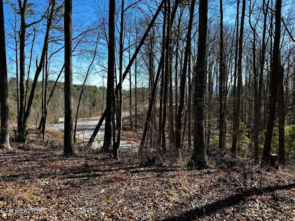 107125 Chestnut Mountain Road Reliance TN 37369