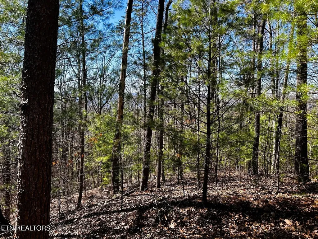 107125 Chestnut Mountain Road Reliance TN 37369