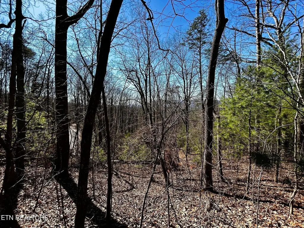 107125 Chestnut Mountain Road Reliance TN 37369