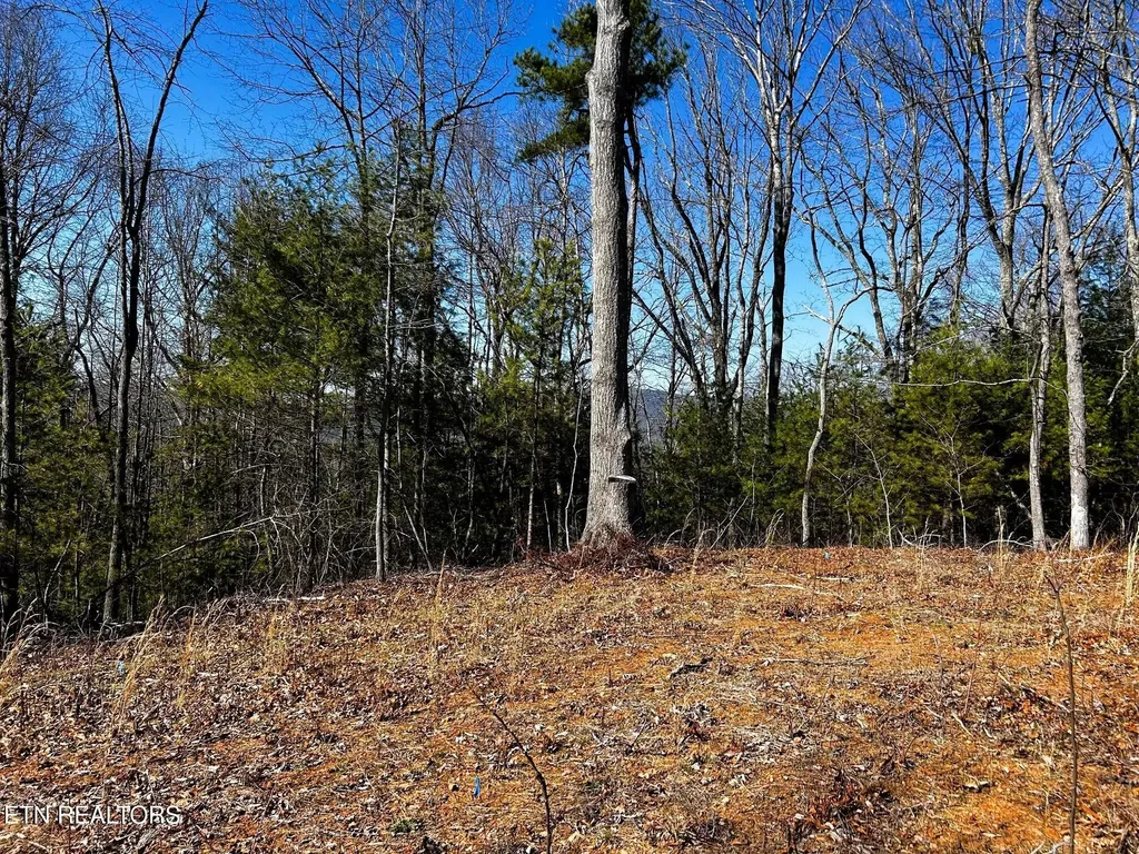107125 Chestnut Mountain Road Reliance TN 37369