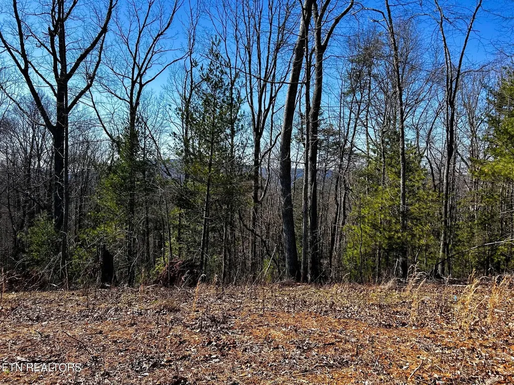 107125 Chestnut Mountain Road Reliance TN 37369