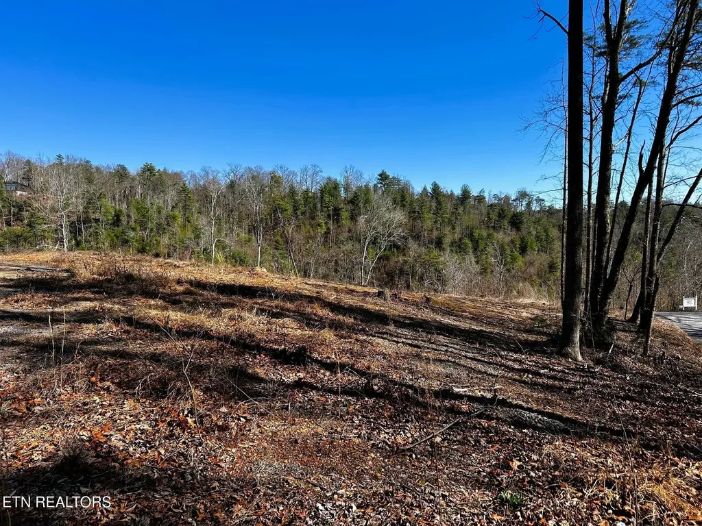 107125 Chestnut Mountain Road Reliance TN 37369