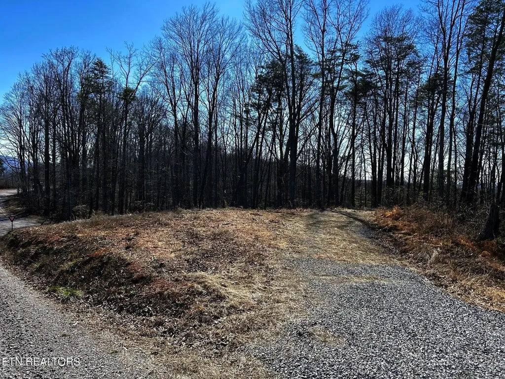 107125 Chestnut Mountain Road Reliance TN 37369